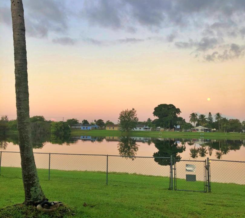 Photo of Others in Royal Palm Beach