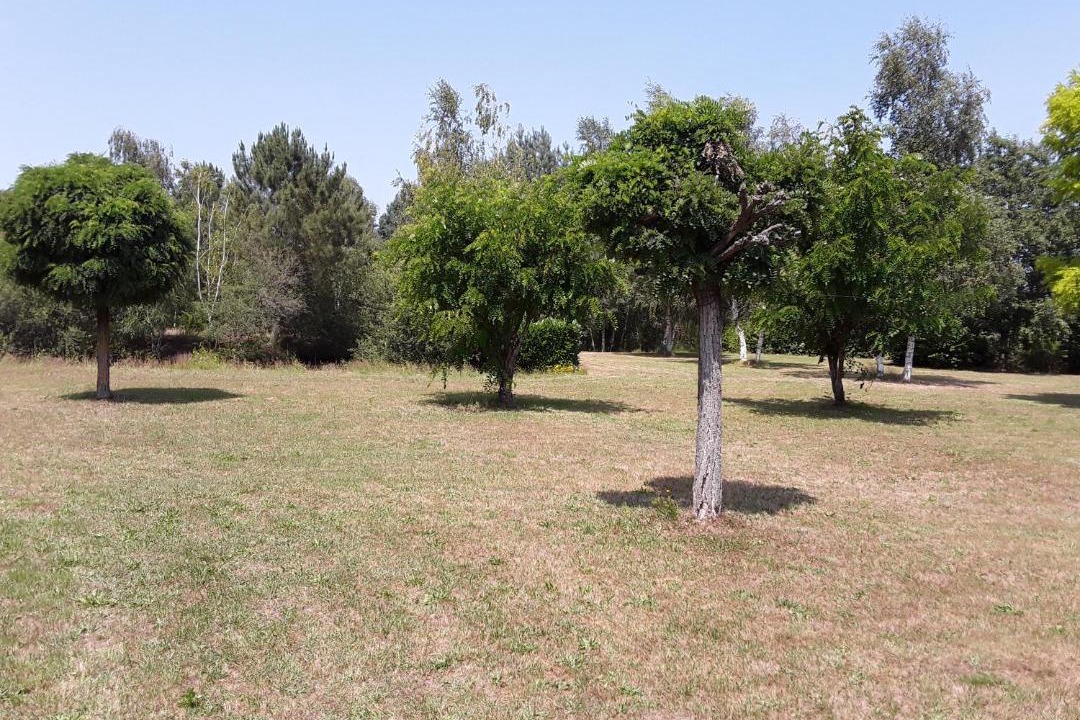 Photo of Others in Longue-Jumelles