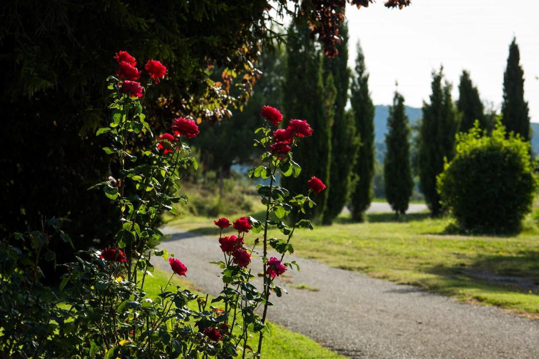 Photo of Outdoor in Lladurs