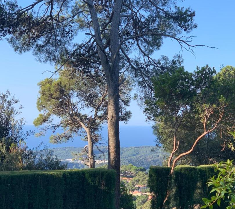 Photo of Outdoor in Sant Cebria de Vallalta