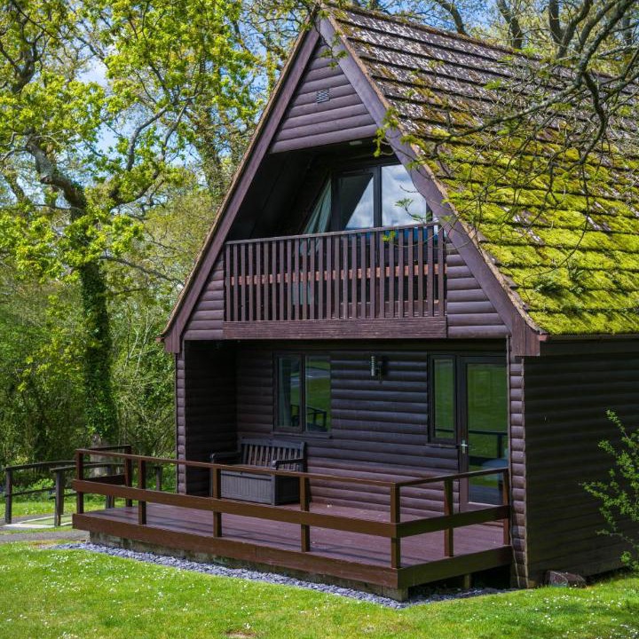 Photo of Others in Woodbury