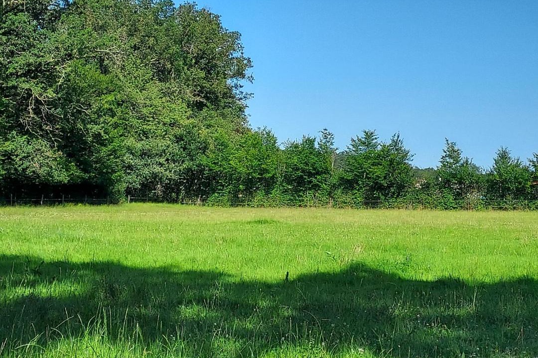 Photo of Others in Gouise