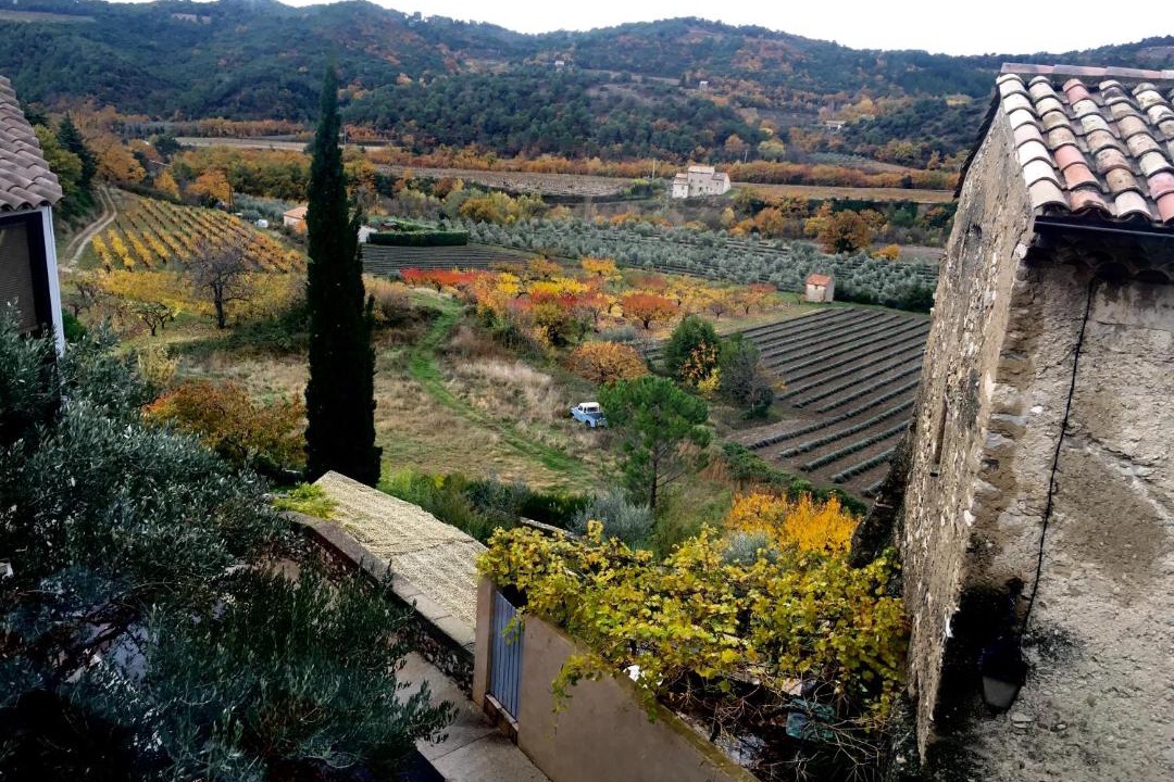 Photo of Others in Venterol