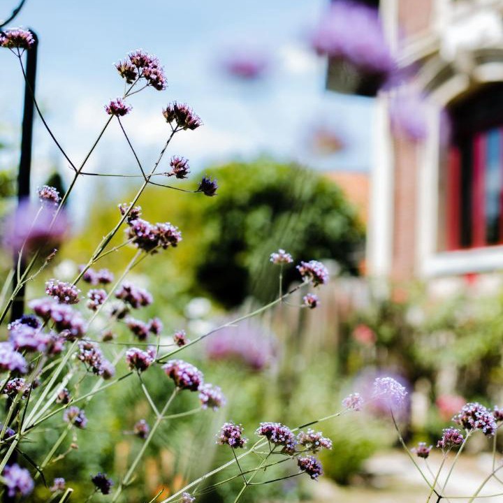 Photo of Others in Giverny