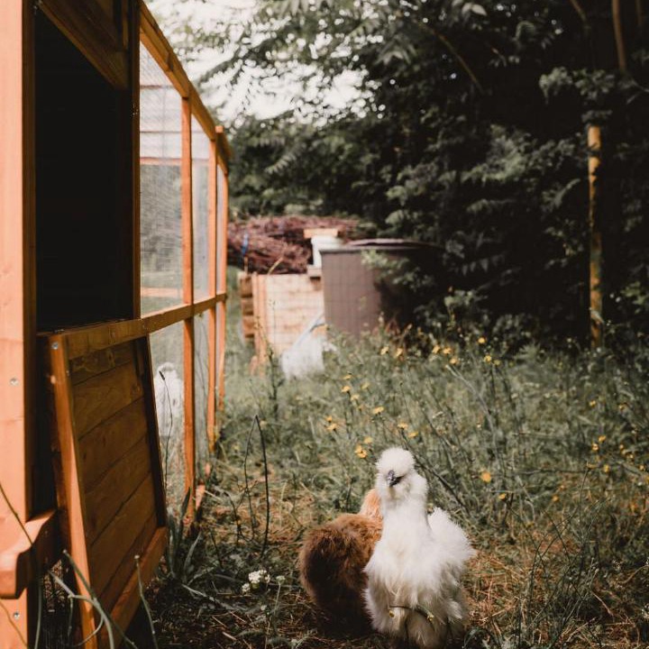 Photo of Others in Giverny