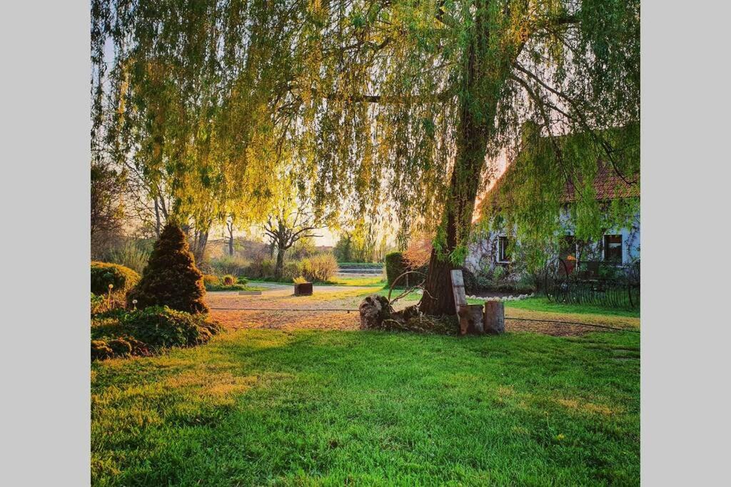 Photo of Others in Cindre