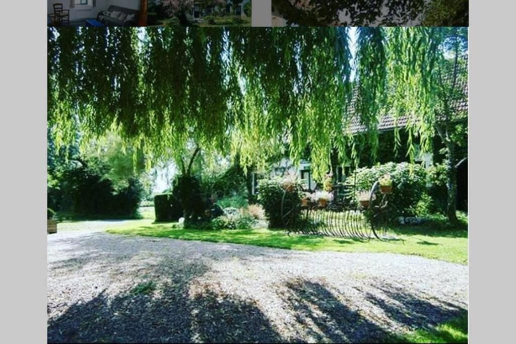 Photo of Others in Cindre