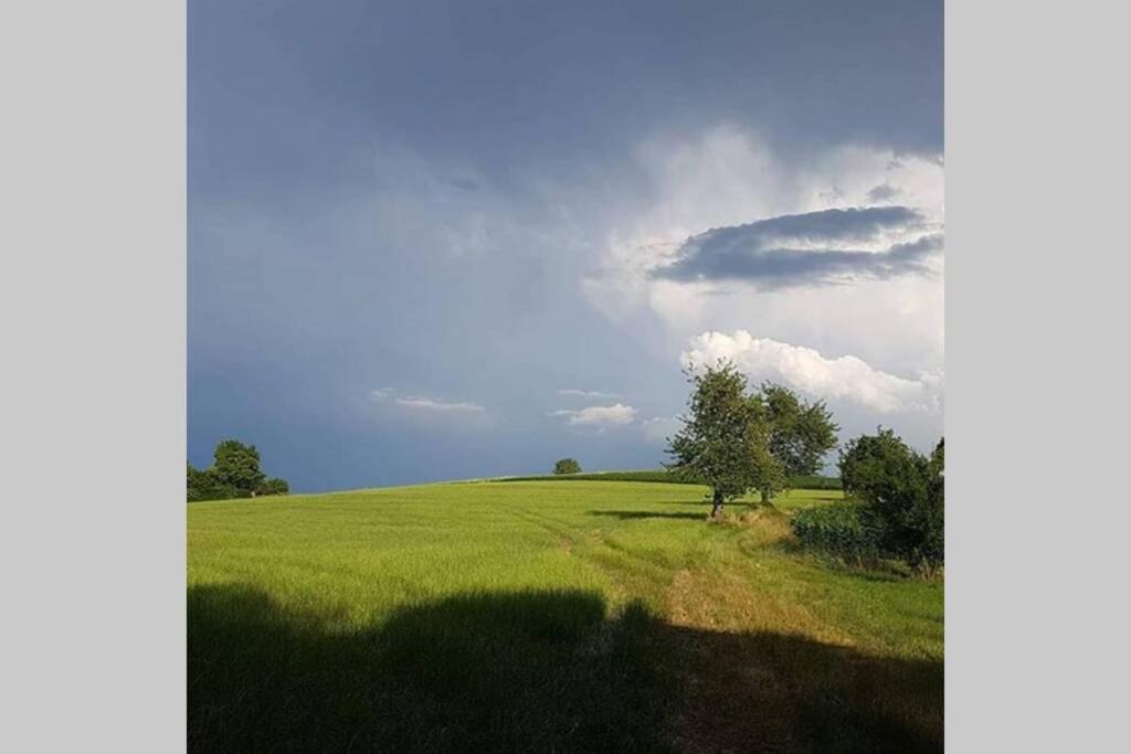 Photo of Others in Cindre