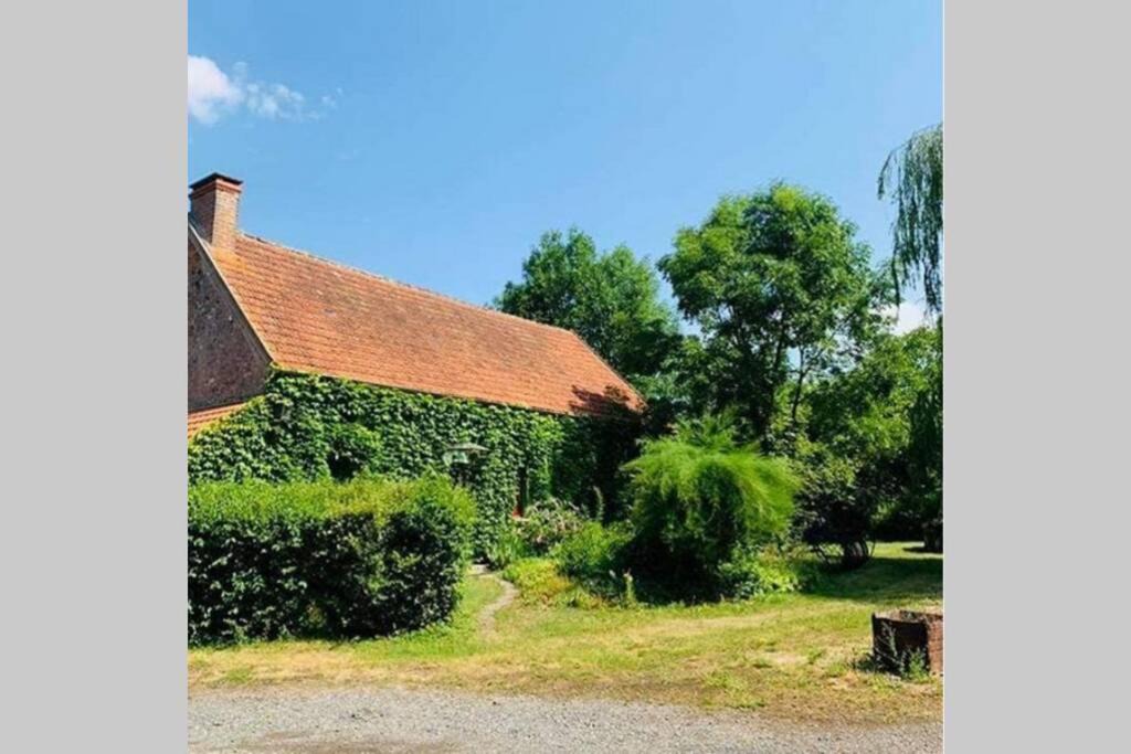 Photo of Others in Cindre