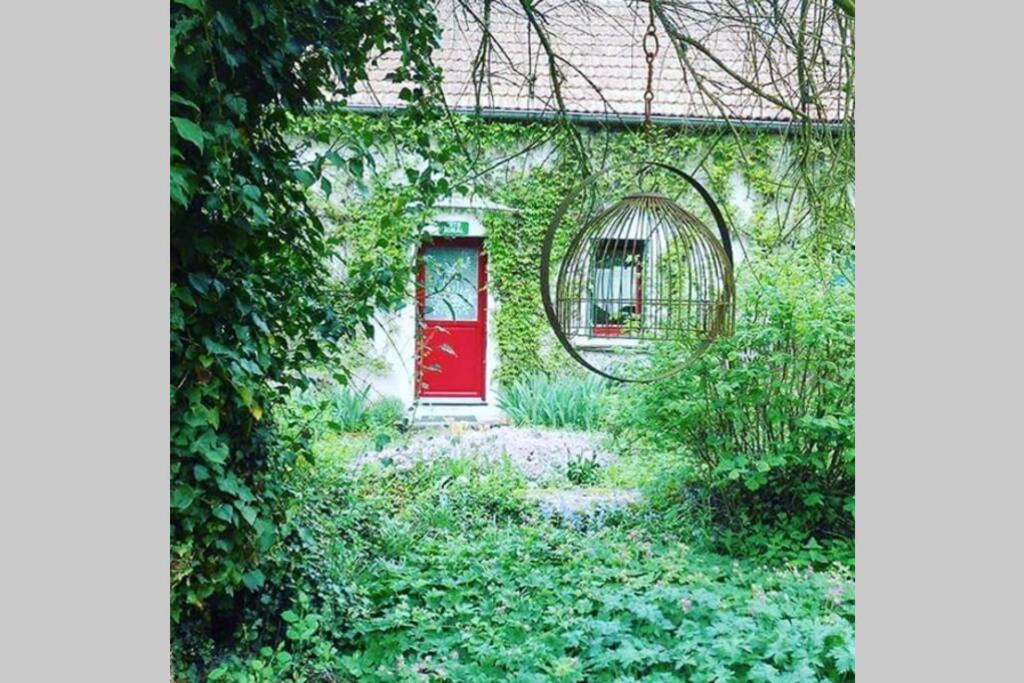 Photo of Others in Cindre