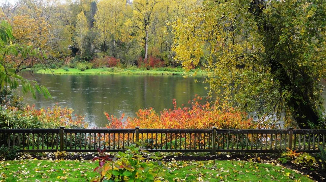 Photo of Outdoor in Woodland