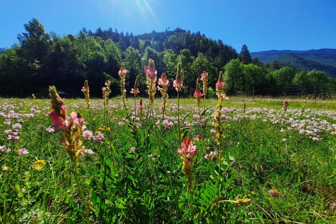 Photo of Others in Menee