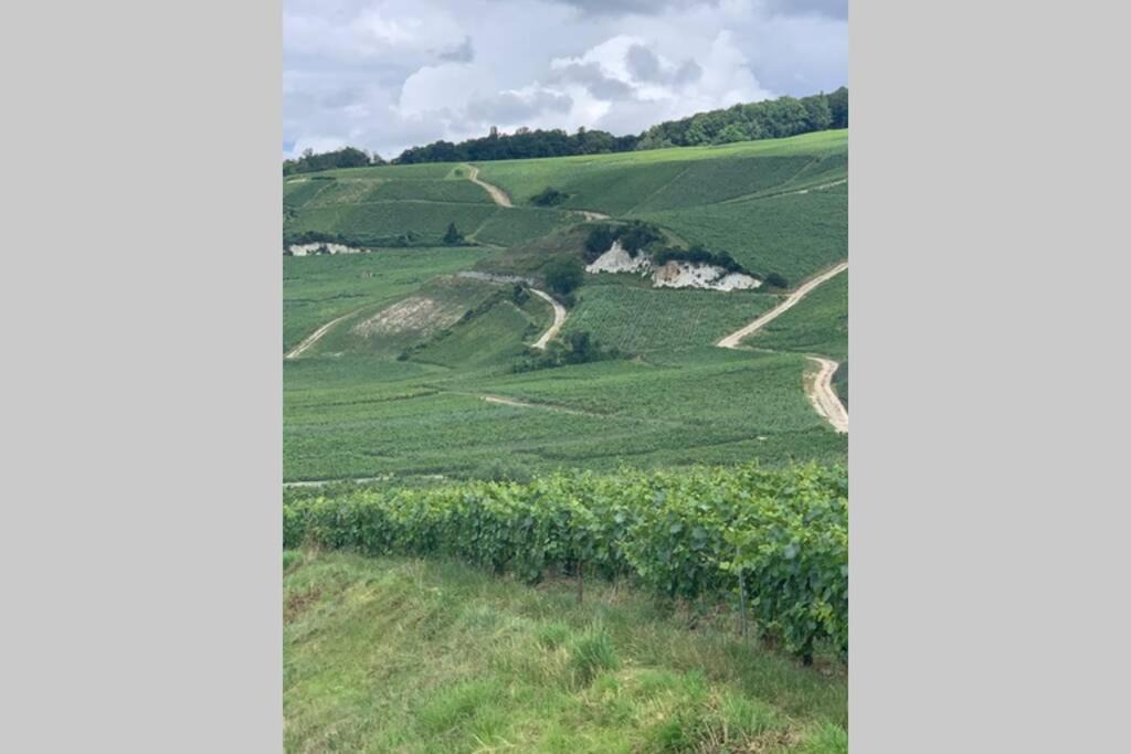 Photo of Others in Ay