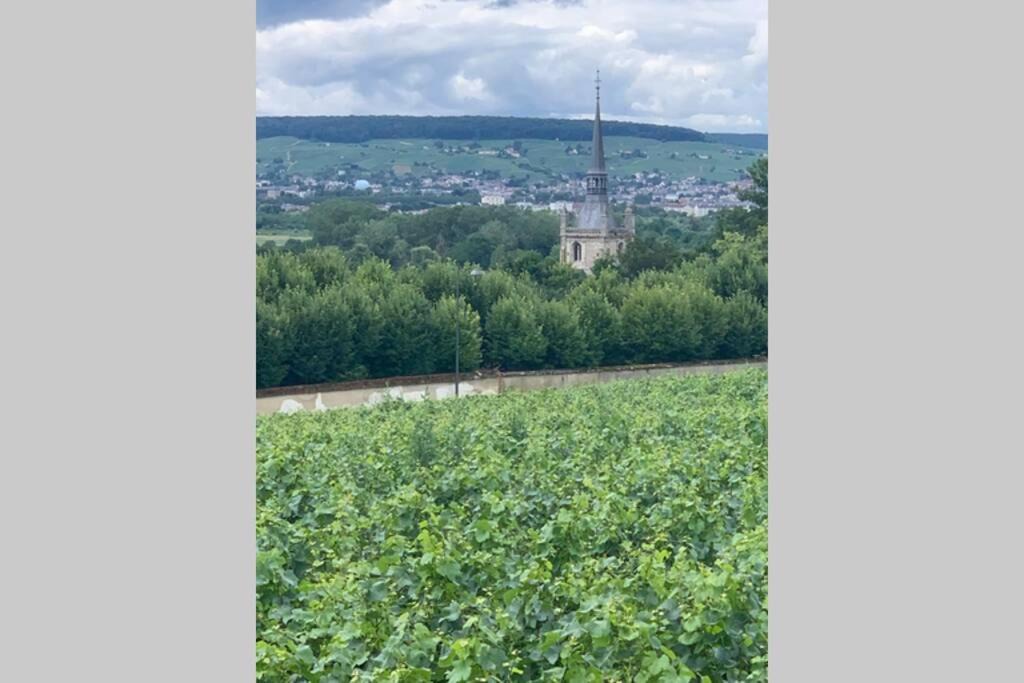 Photo of Others in Ay