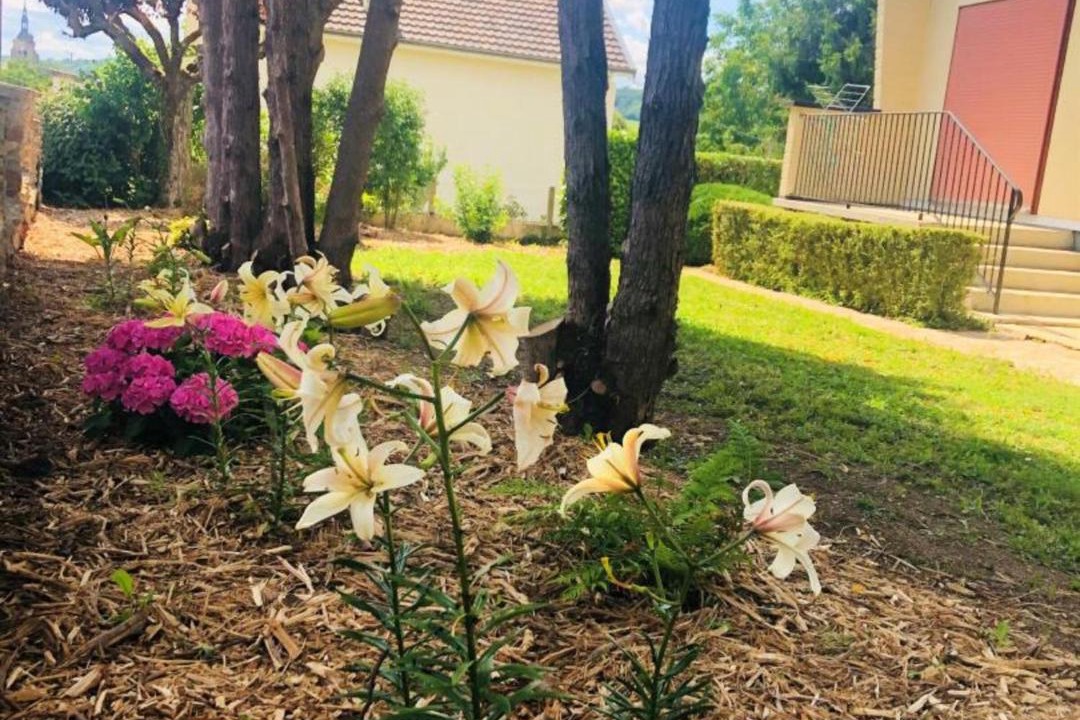Photo of Others in Villenauxe-la-Grande