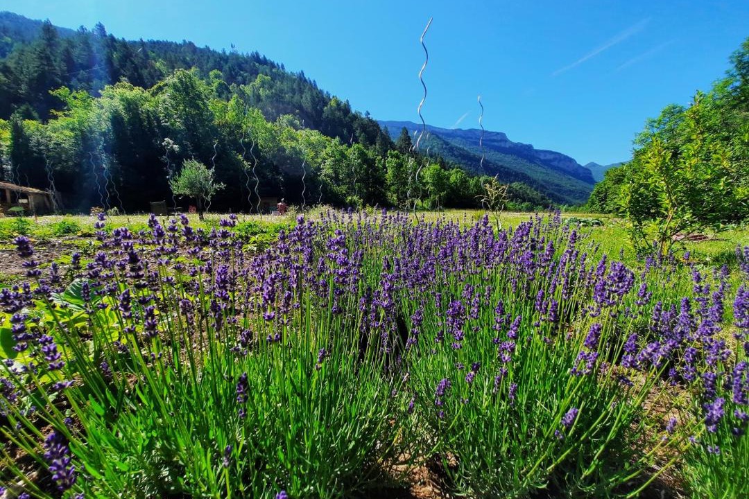 Photo of Others in Menee