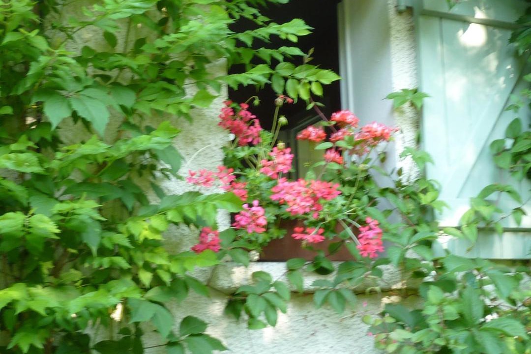 Photo of Others in Luzech