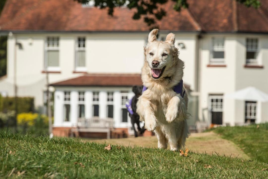 Photo of Others in Bepton