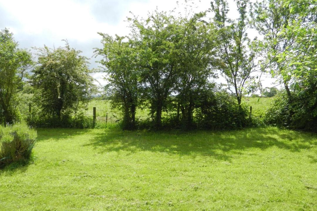 Photo of Others in Hook