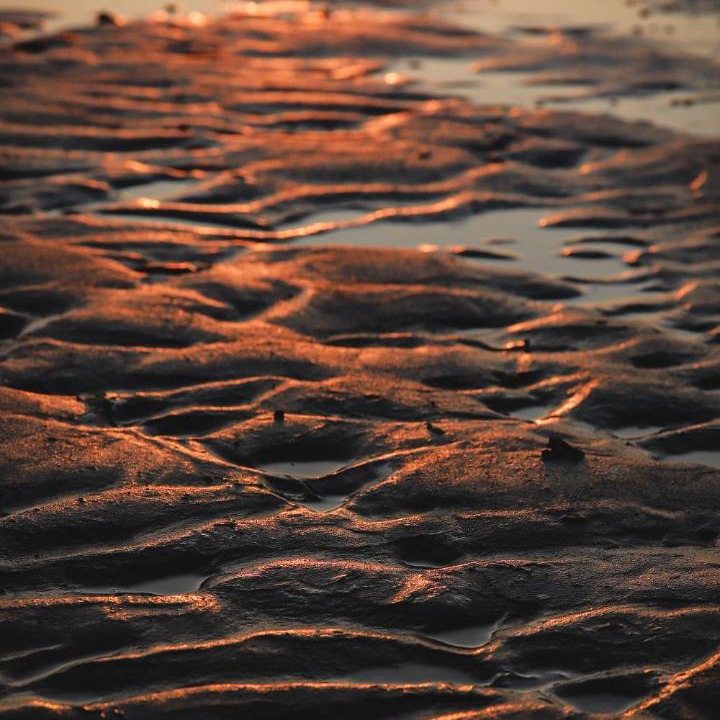 Photo of Others in Christchurch