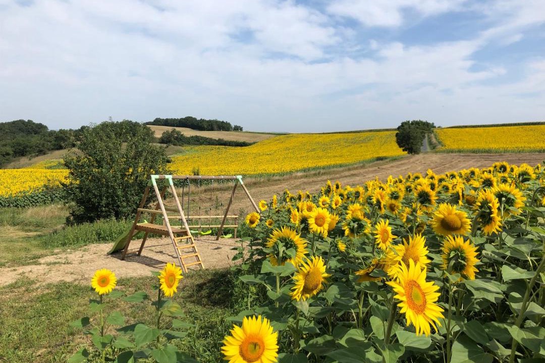 Photo of Others in Puylaurens