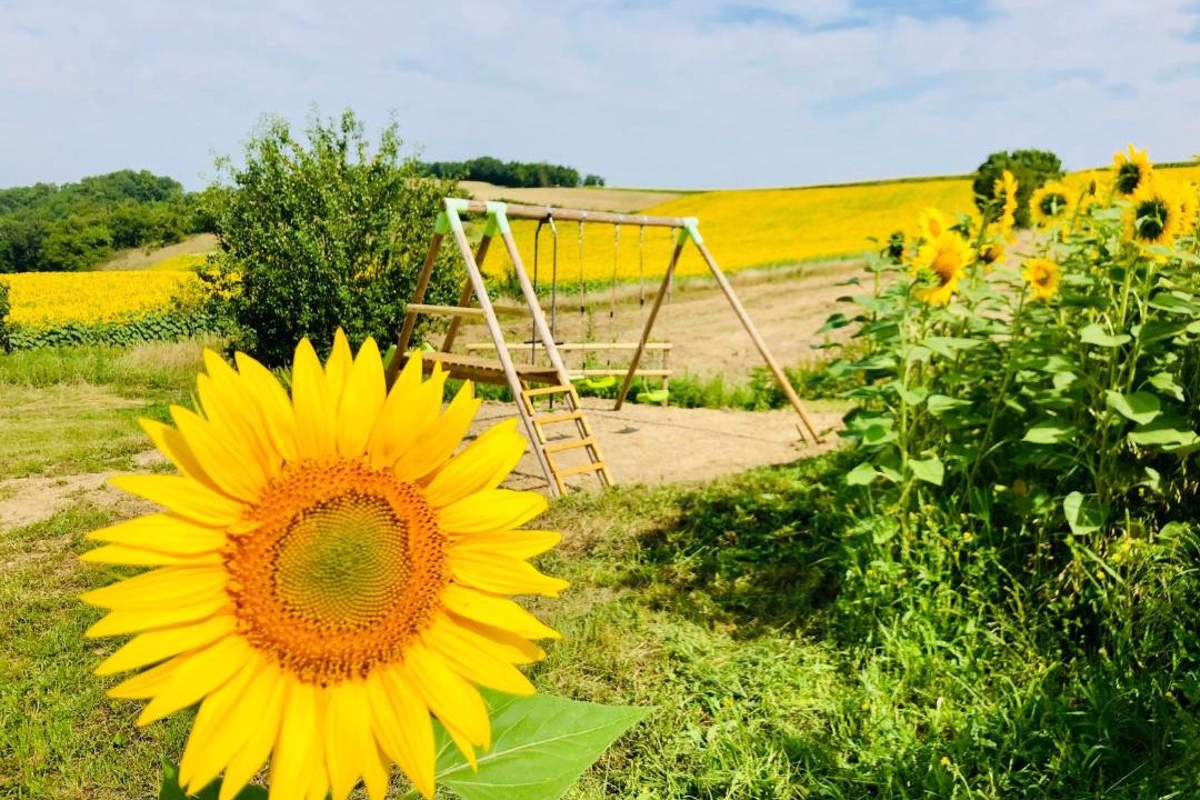 Photo of Others in Puylaurens