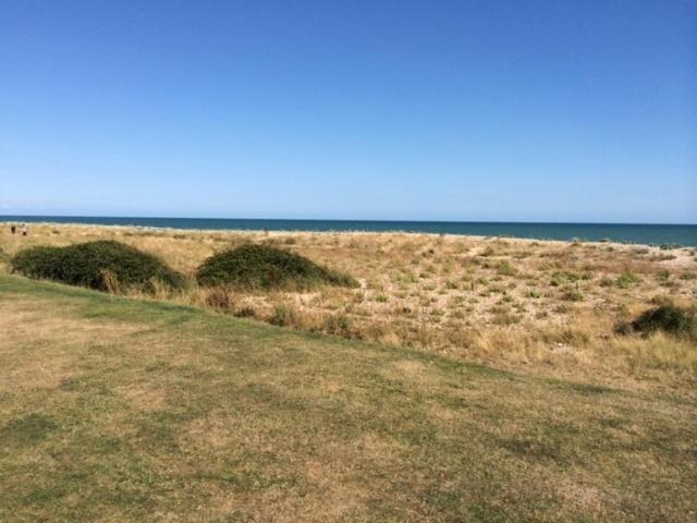 Photo of Others in Pagham