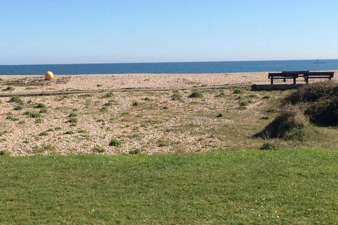 Photo of Others in Pagham