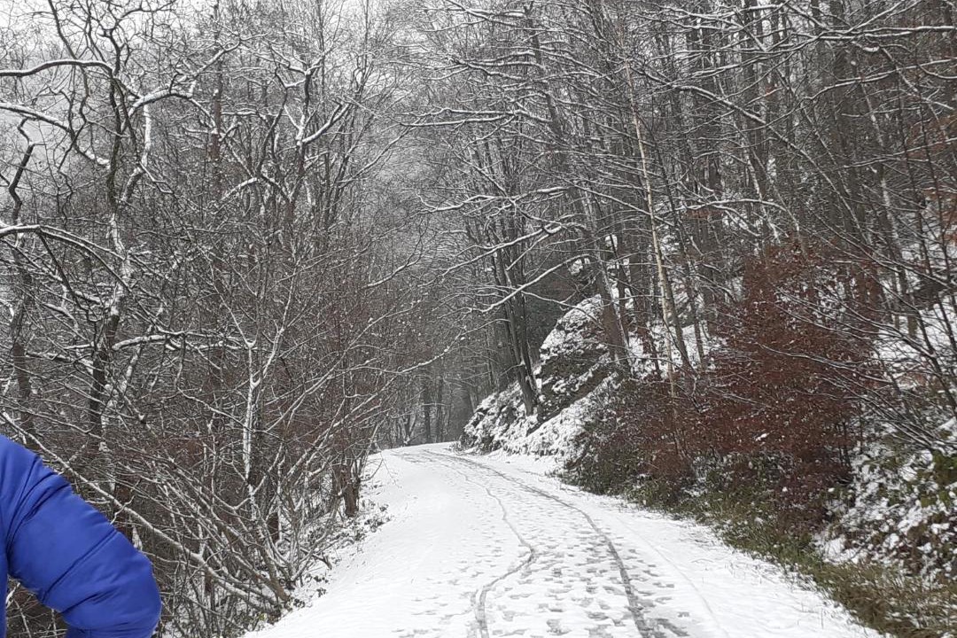 Photo of Others in Tournavaux