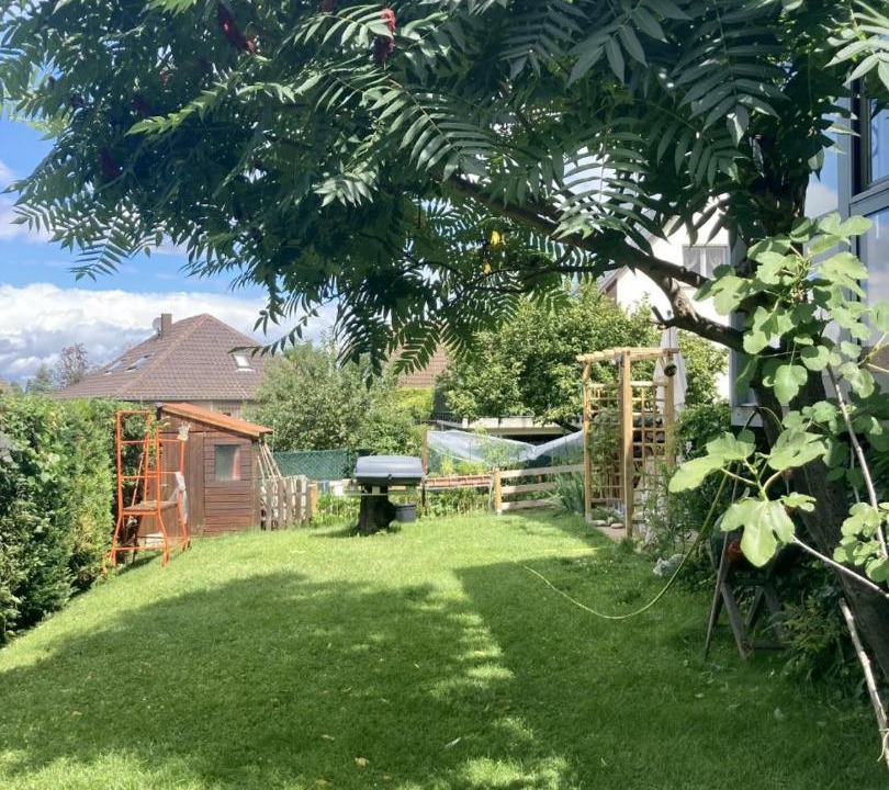 Photo of Buildings in Truchtersheim