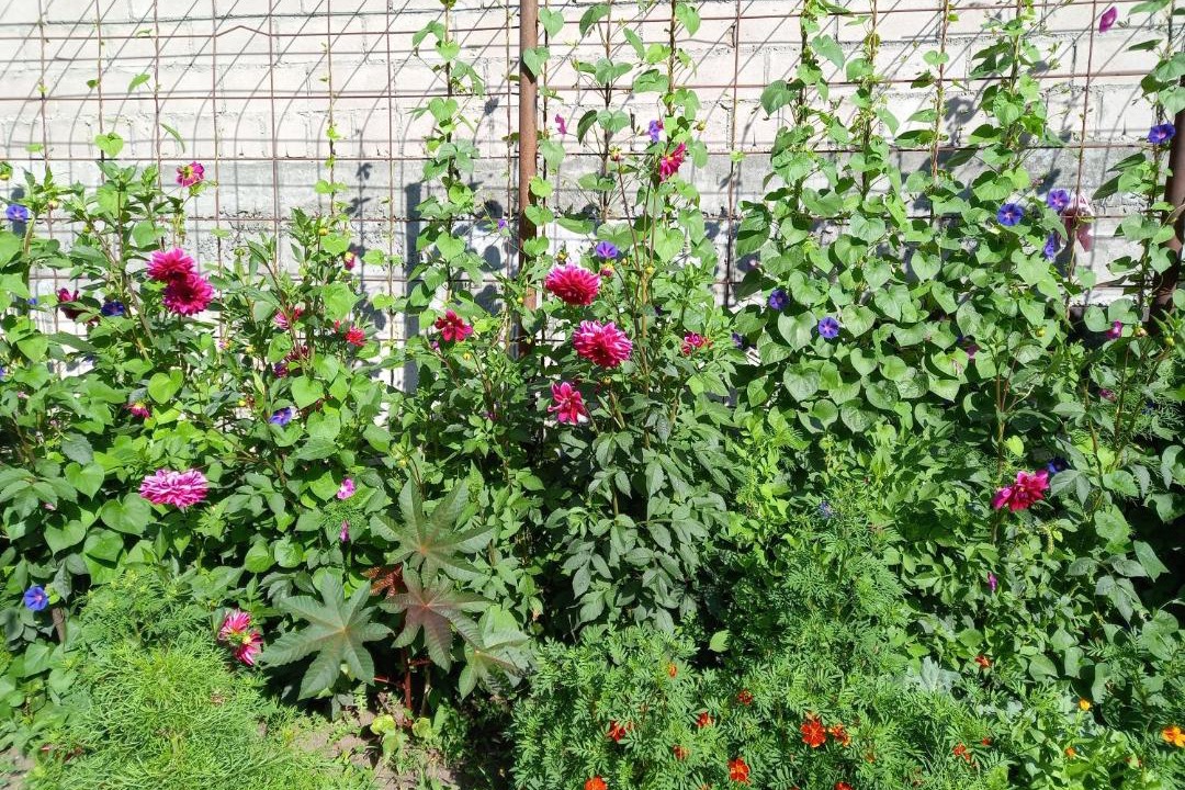 Photo of Others in Teberda