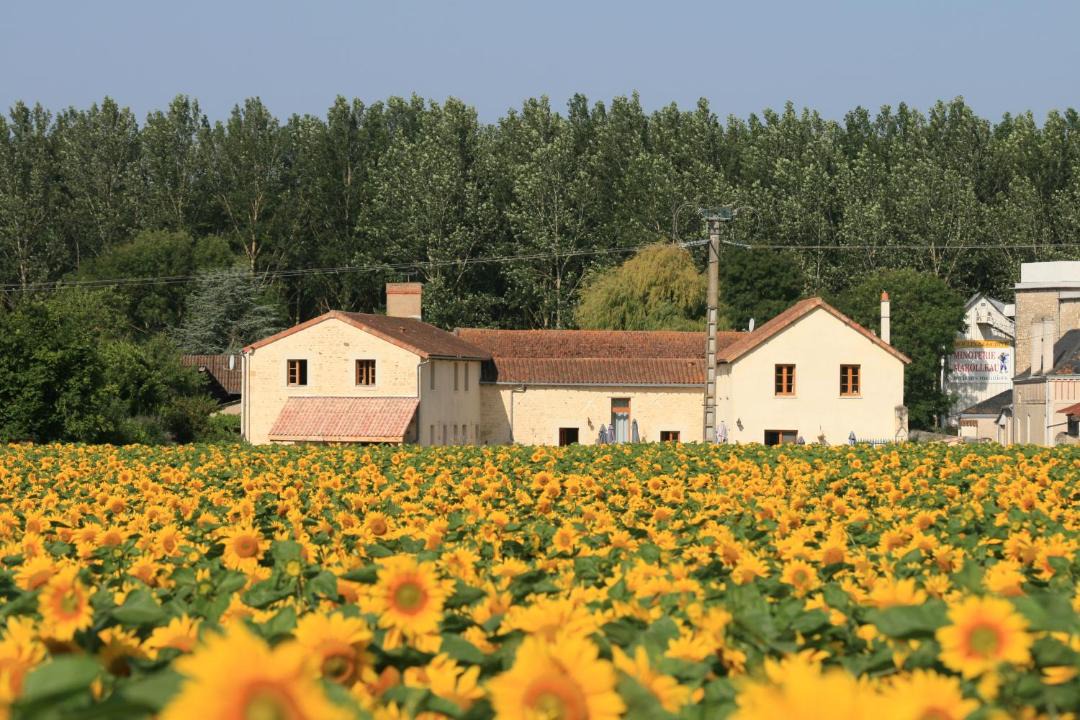 Photo of Buildings in Berrie