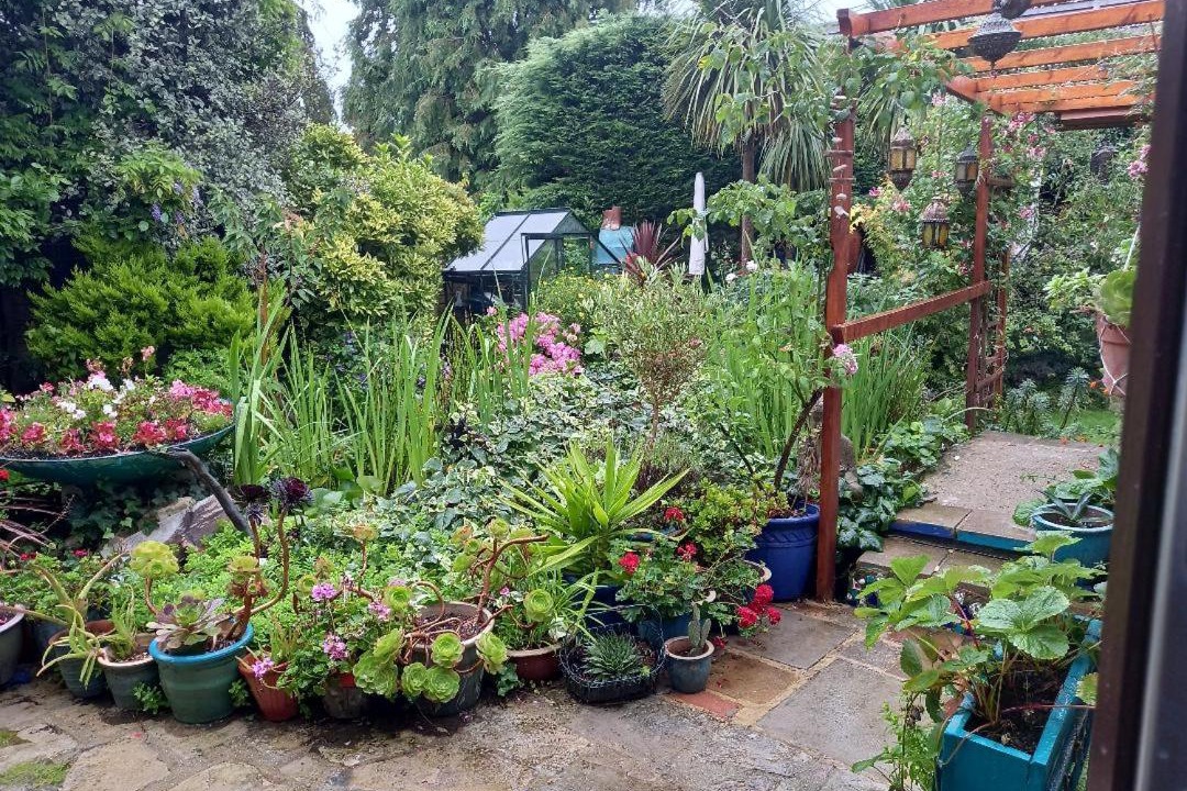 Photo of Others in Ryde