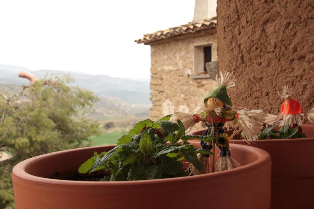 Photo of Patio Balcony in Foradada