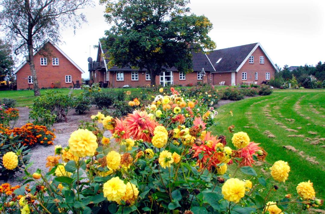 Photo of Buildings in Give