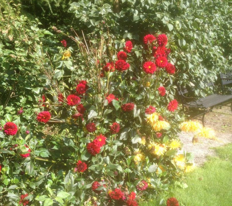 Photo of Others in Give