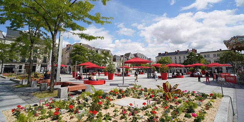 Photo of Others in Cholet