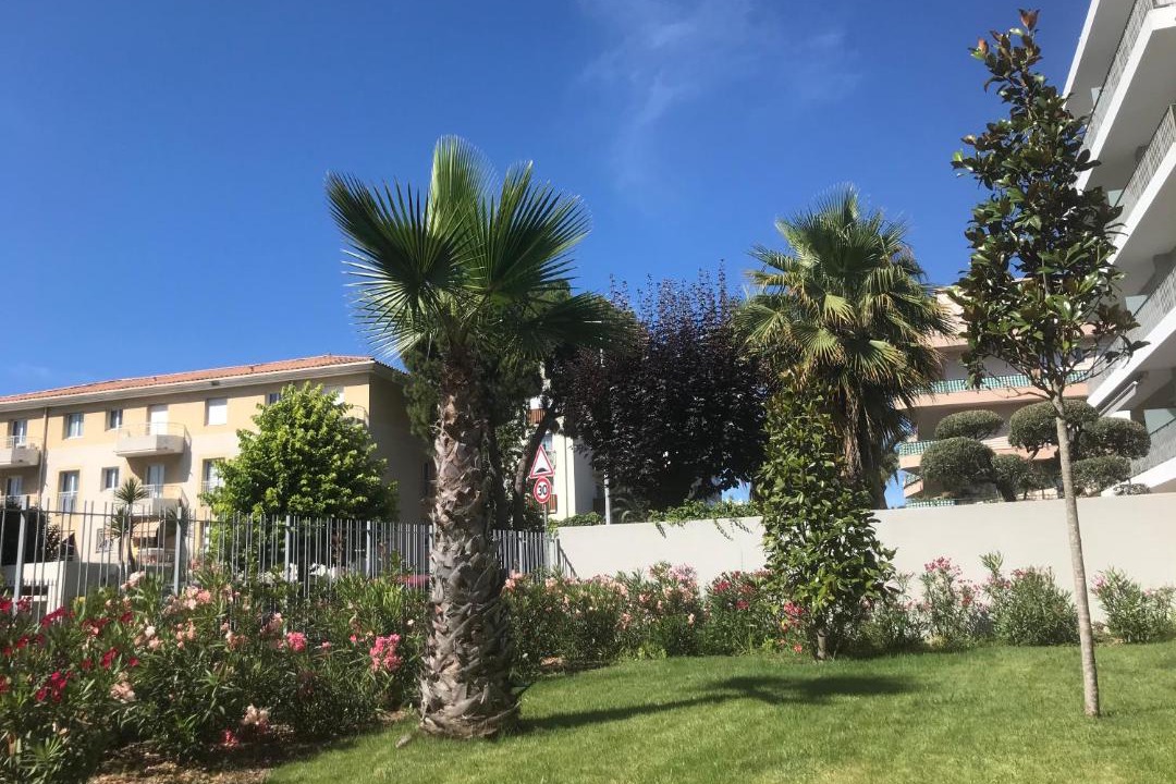 Photo of Others in Nice