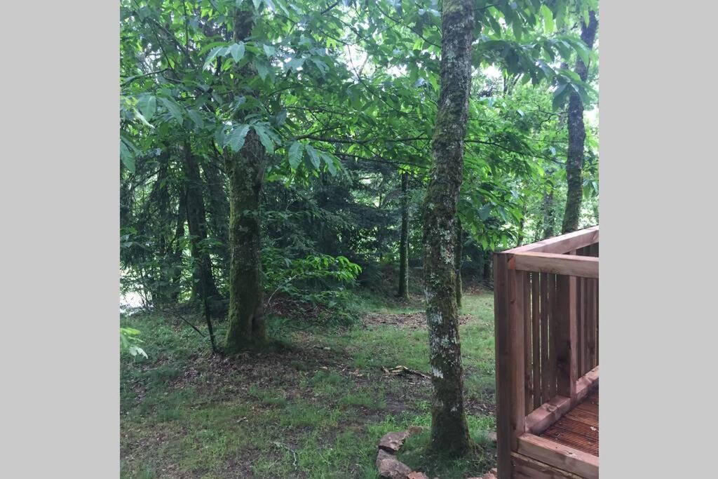 Photo of Others in Saint-Junien