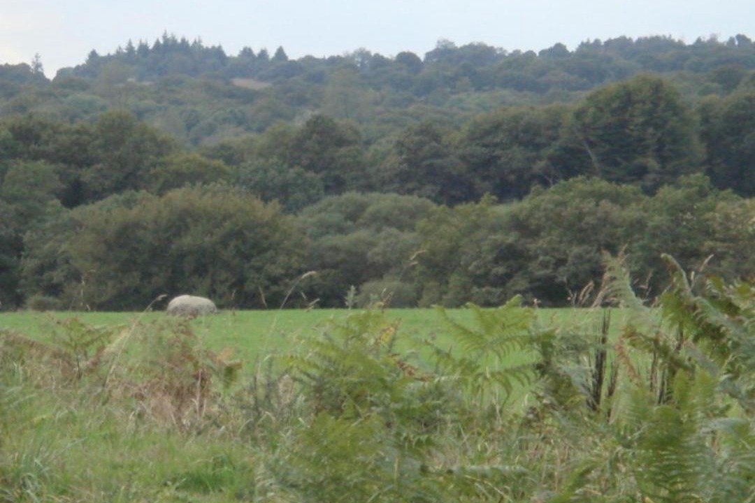 Photo of Others in Kerien