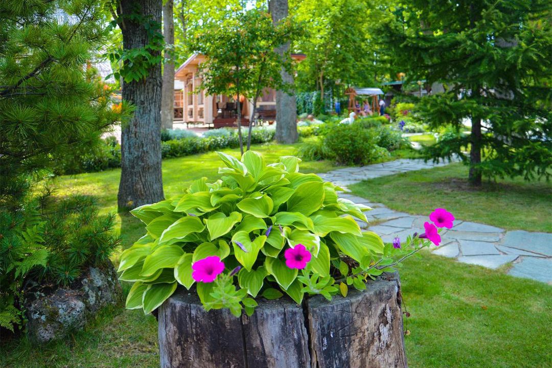 Photo of Others in Vladivostok