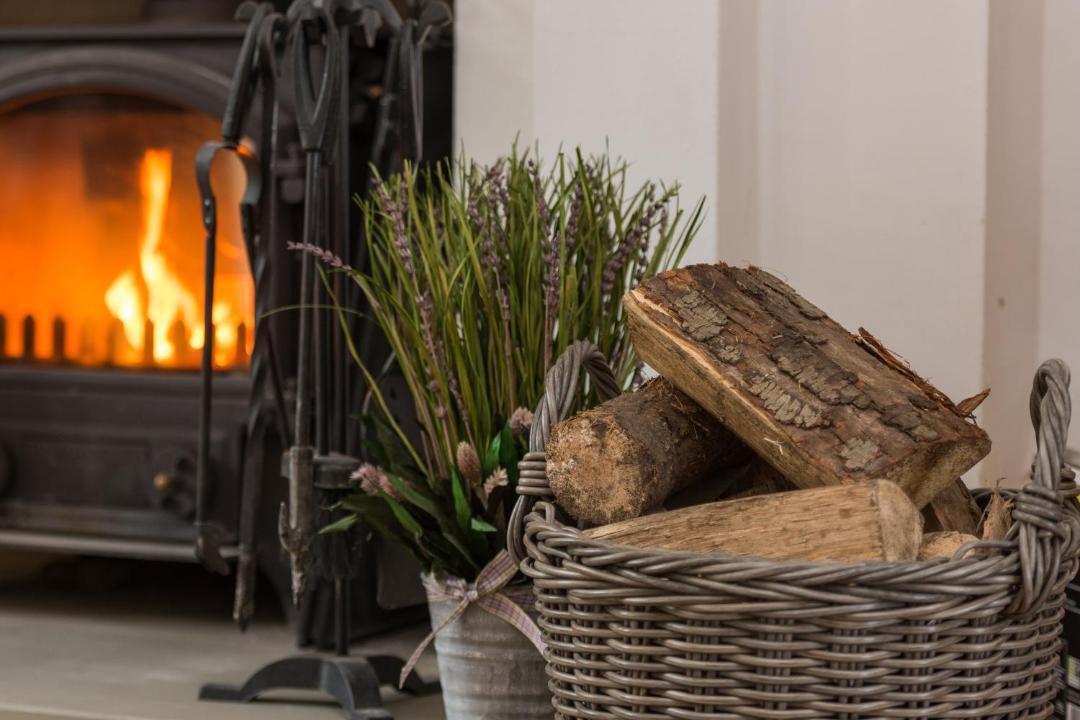 Photo of Others in Fence