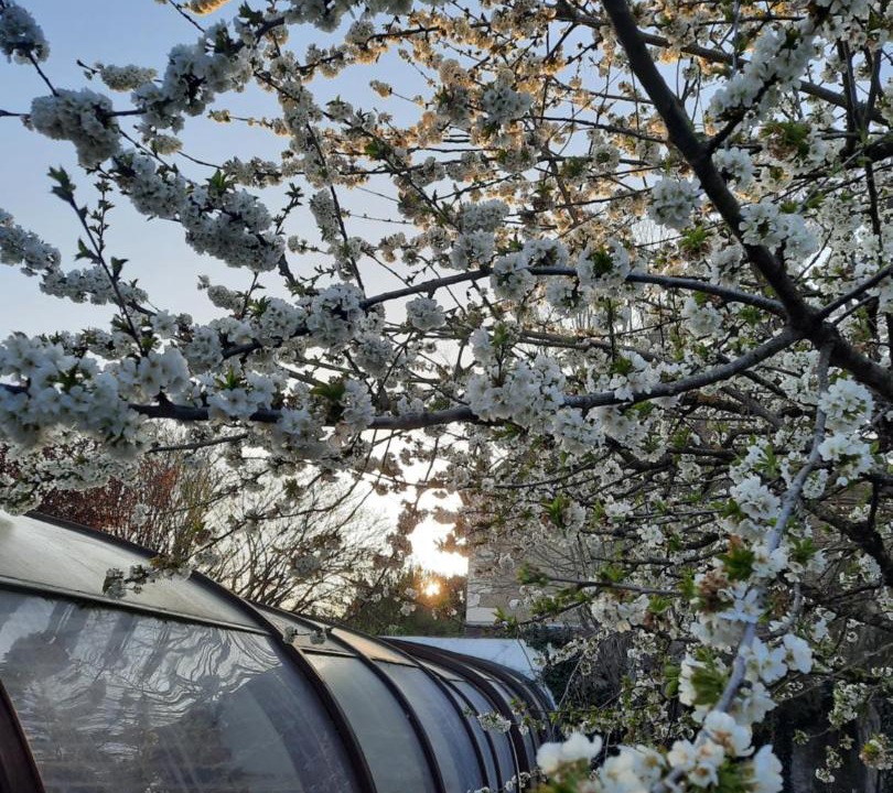 Photo of Others in Auxerre
