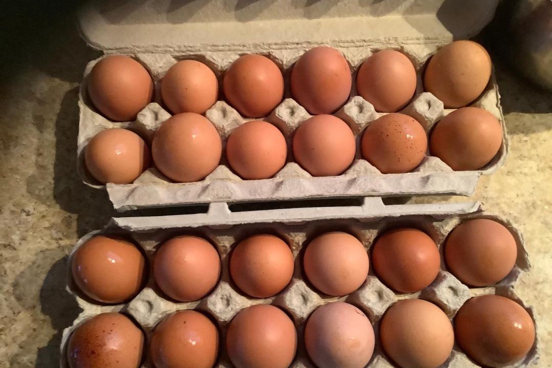 Photo of Others in Paspebiac