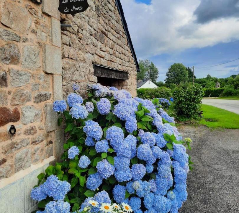 Photo of Others in Le Saint