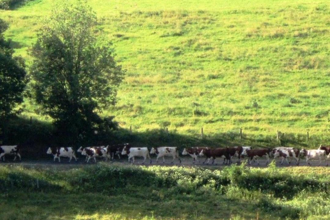 Photo of Outdoor in Barges
