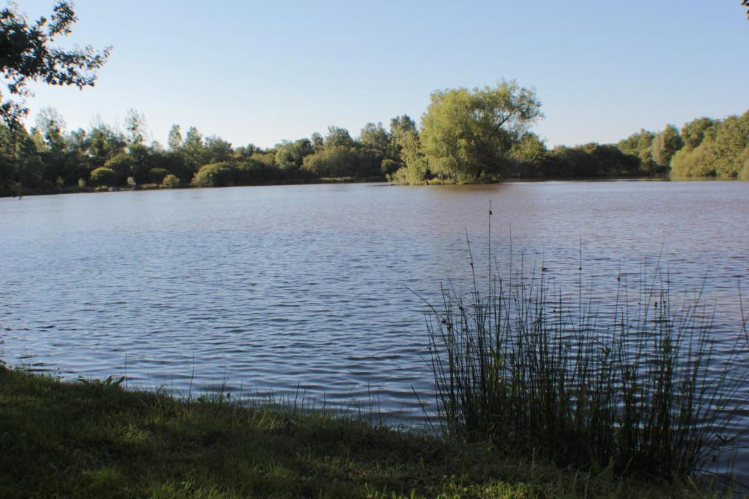 Photo of Others in Neung-sur-Beuvron