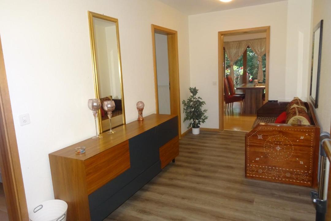 Photo of Others in Central Interlaken