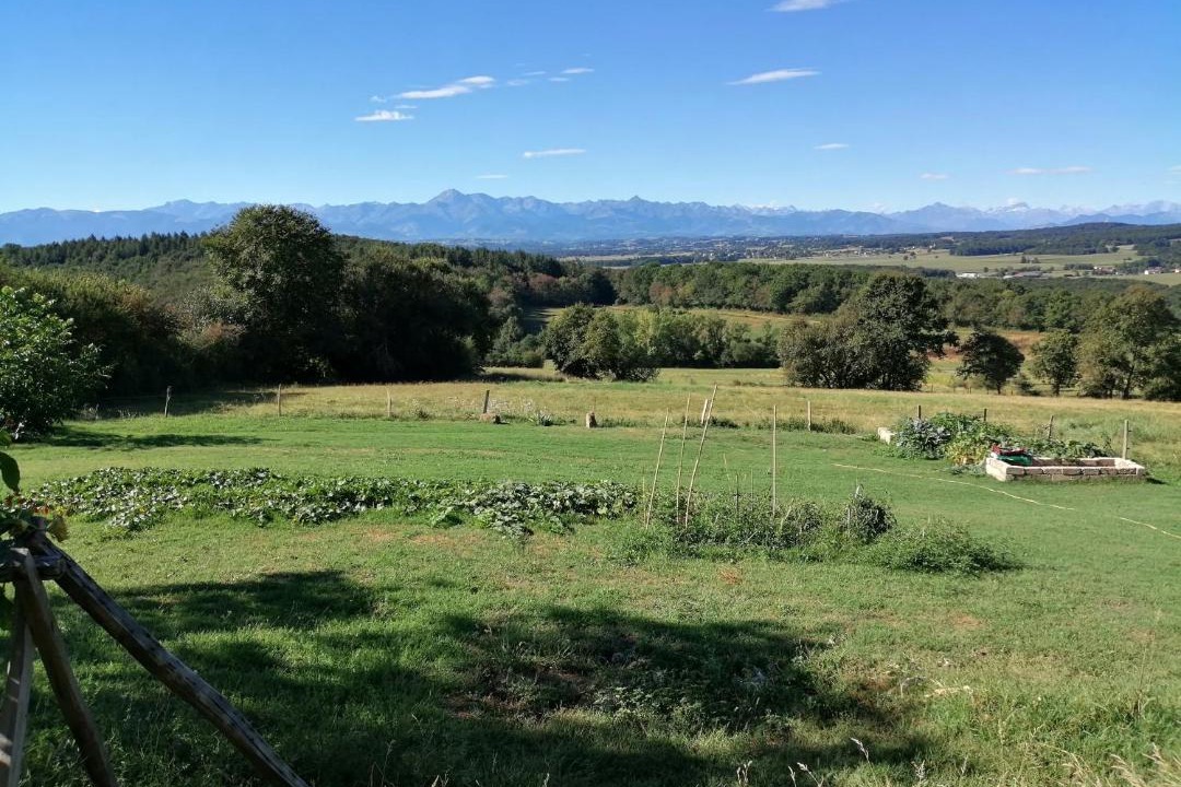 Photo of Others in Castelvieilh