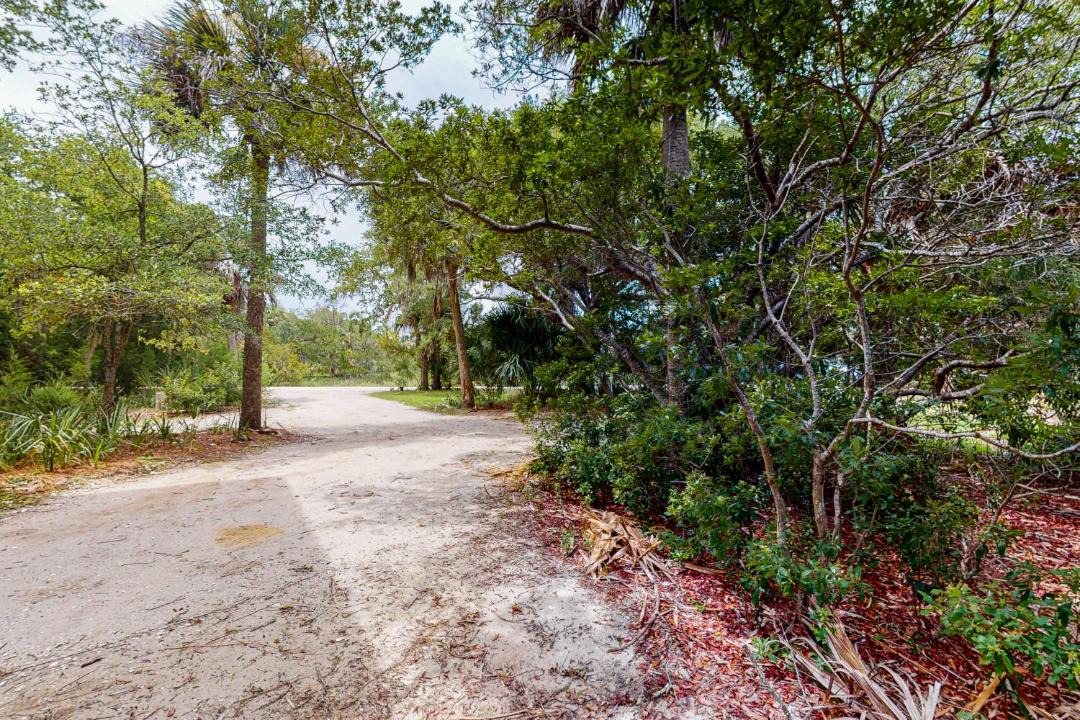 Photo of Others in Edisto Island